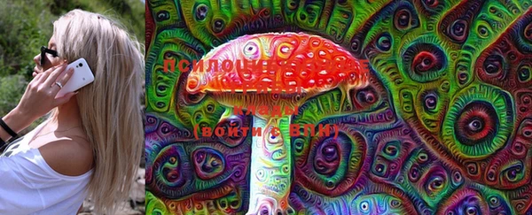 ешки Медвежьегорск