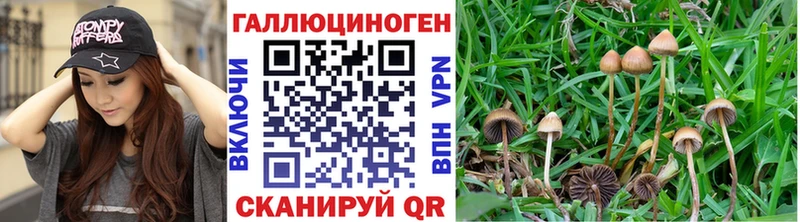 Псилоцибиновые грибы ЛСД  Купить где  Острогожск 